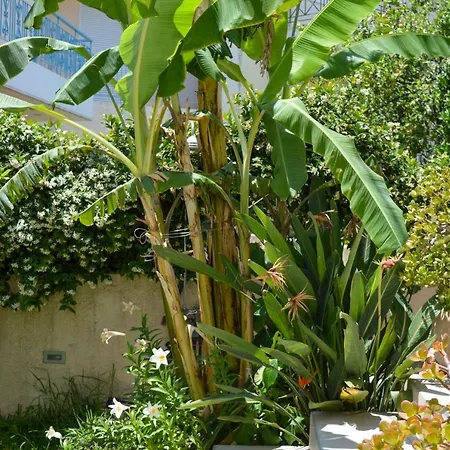 Ada's Family House * Kalamata