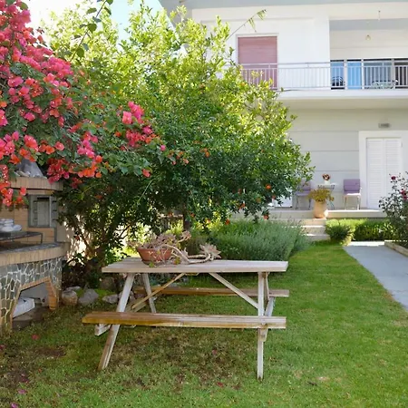 Ada's Family House