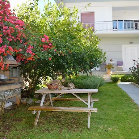 Ada's Family House